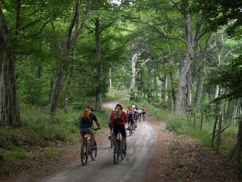 pedalata3 07.jpg